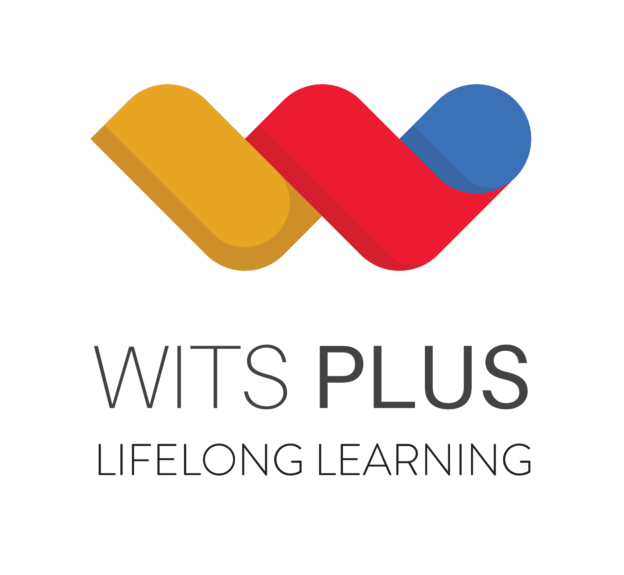 Wits Plus Logo